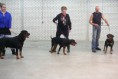 /album/fotogalerij-puppendag/p1080653-800x535-jpg1/